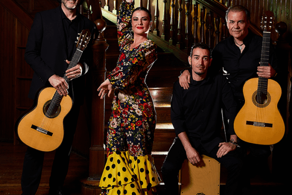 guitarras-irene-thumbail